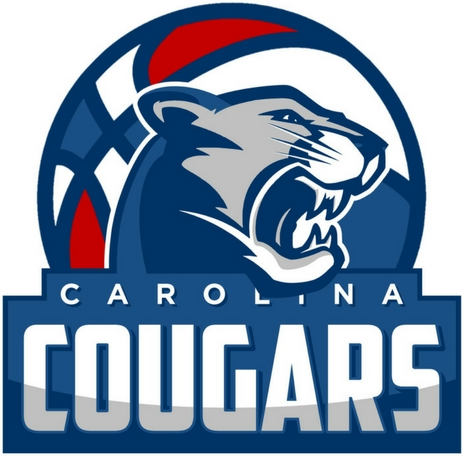 Carolina Cougars 2016-Pres Primary Logo iron on transfers for clothing